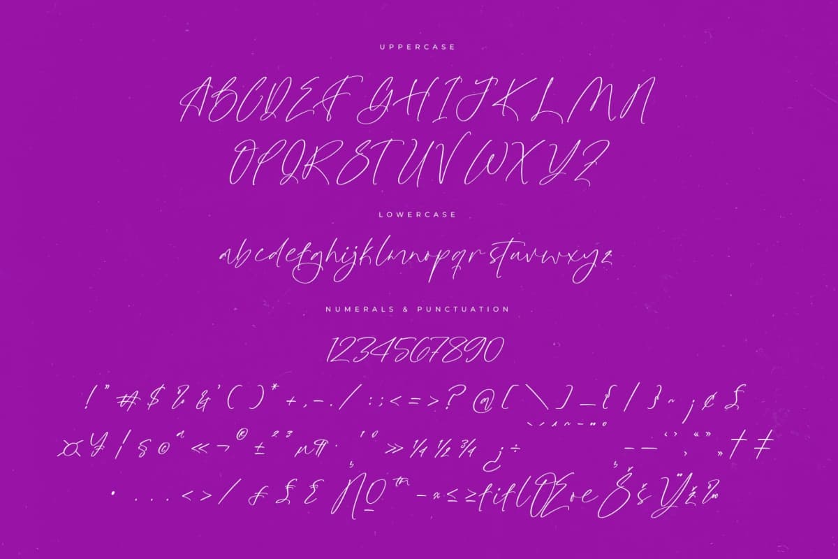 Glistening Silent – Modern Stylish Script font preview 13