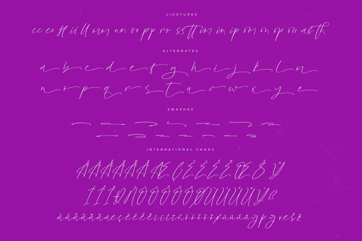Glistening Silent – Modern Stylish Script font preview 14