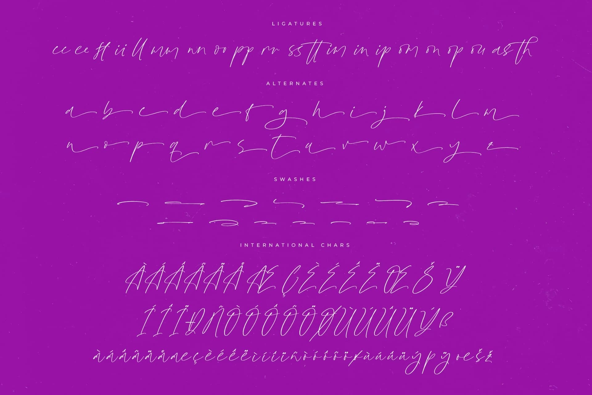 Preview 14 for Glistening Silent – Modern Stylish Script