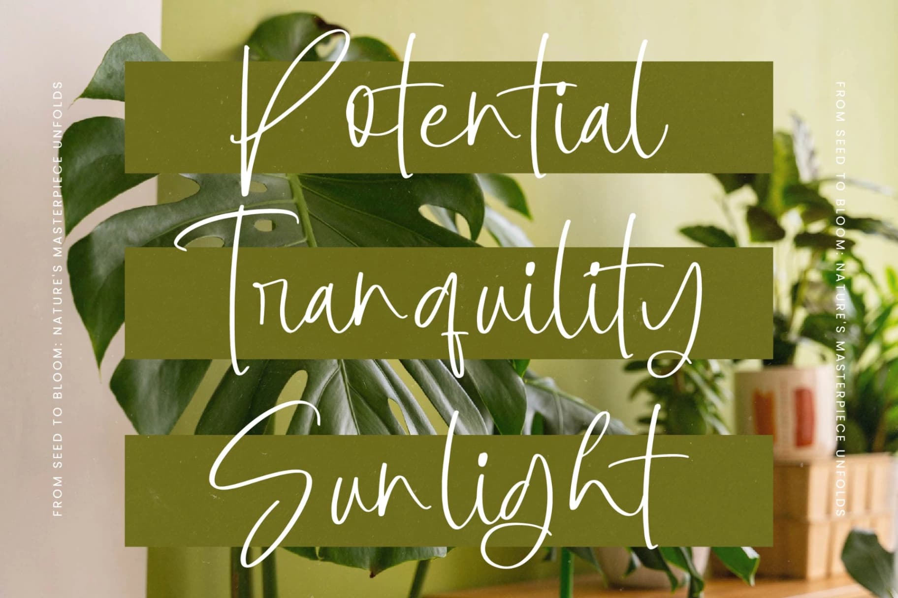 Preview 5 for Botany Centers - Modern Handwritten Font