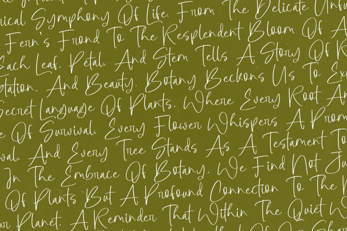 Botany Centers - Modern Handwritten Font font preview 12