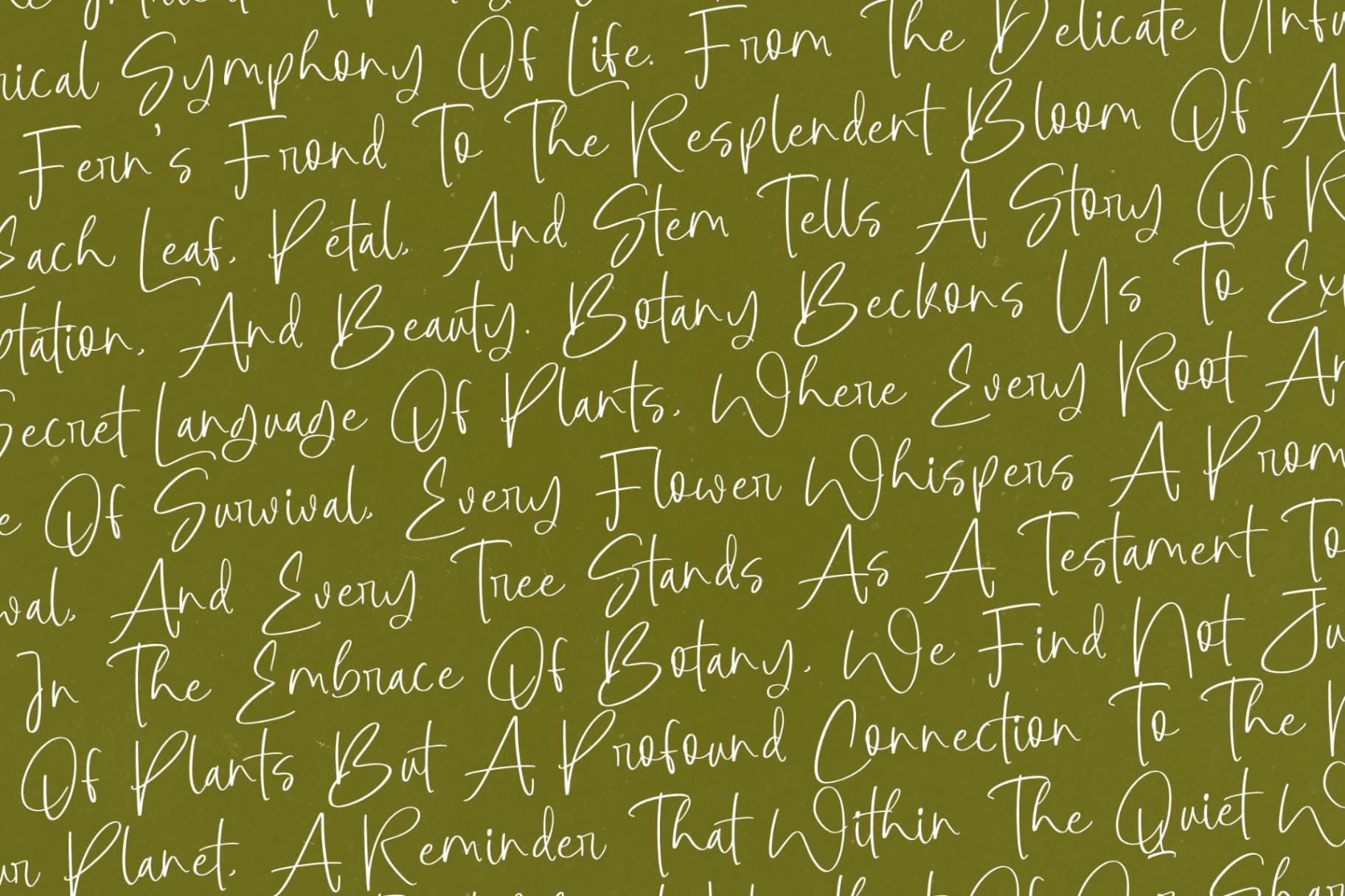 Preview 12 for Botany Centers - Modern Handwritten Font