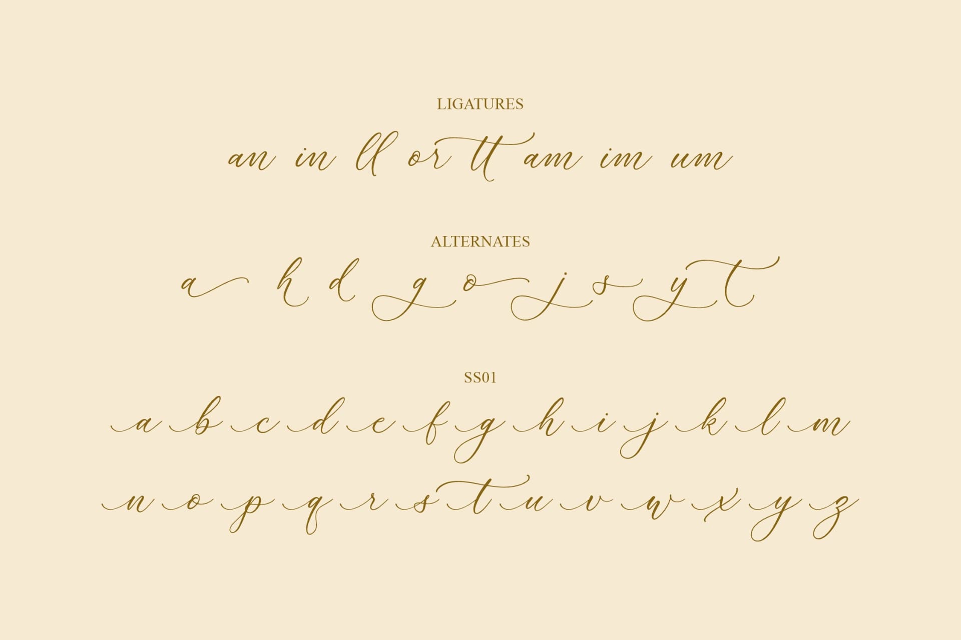 Preview 14 for Rumaysa Chambert - Luxury Script Font