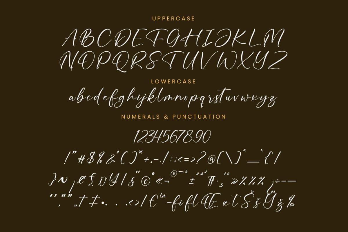 Preview 13 for Bounty Amethysa - Beautiful Script Font
