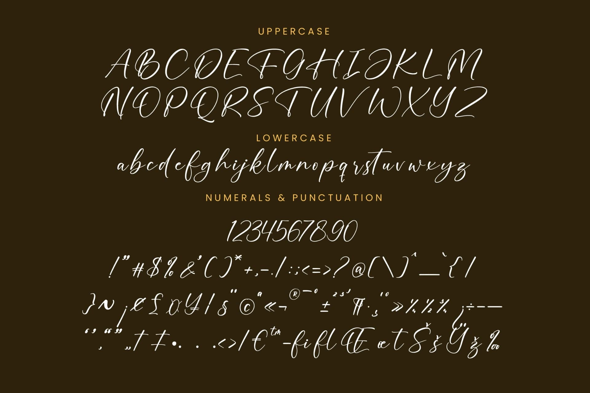 Preview 13 for Bounty Amethysa - Beautiful Script Font
