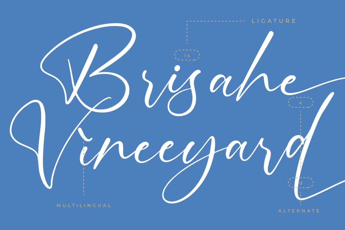 Motion Amusement – Modern Signature Font font preview 12