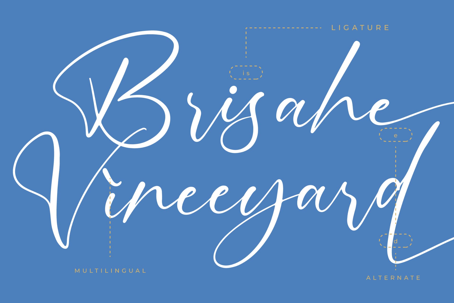 Preview 12 for Motion Amusement – Modern Signature Font