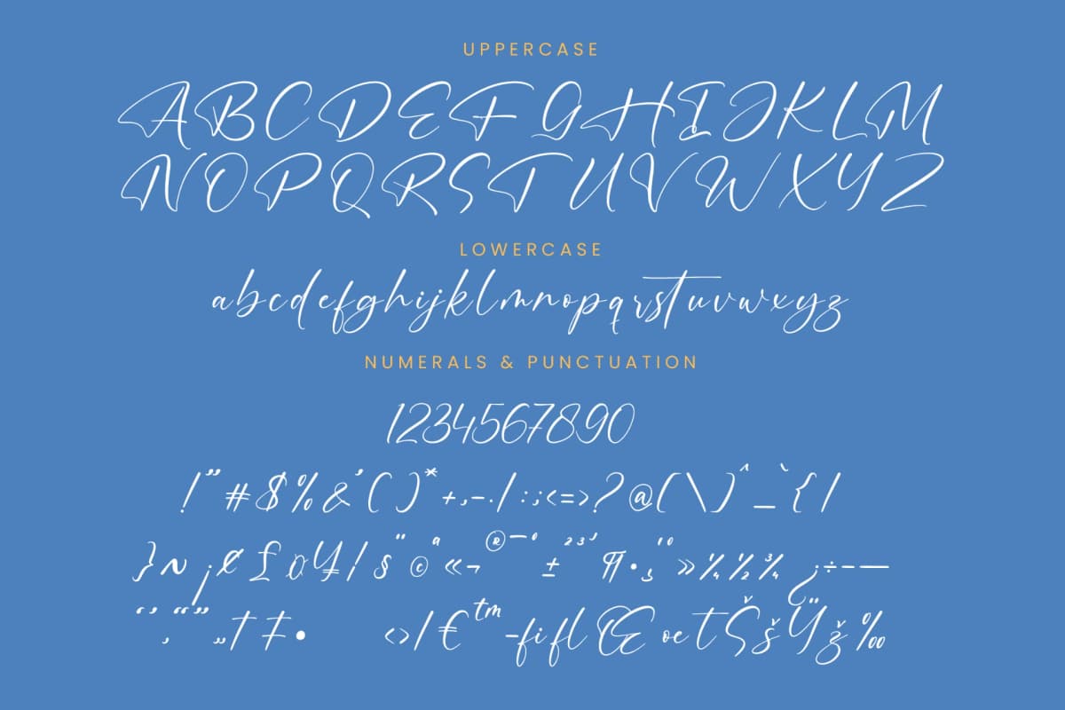 Motion Amusement – Modern Signature Font font preview 13