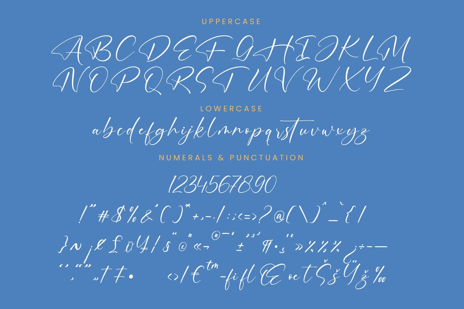 Preview 13 for Motion Amusement – Modern Signature Font