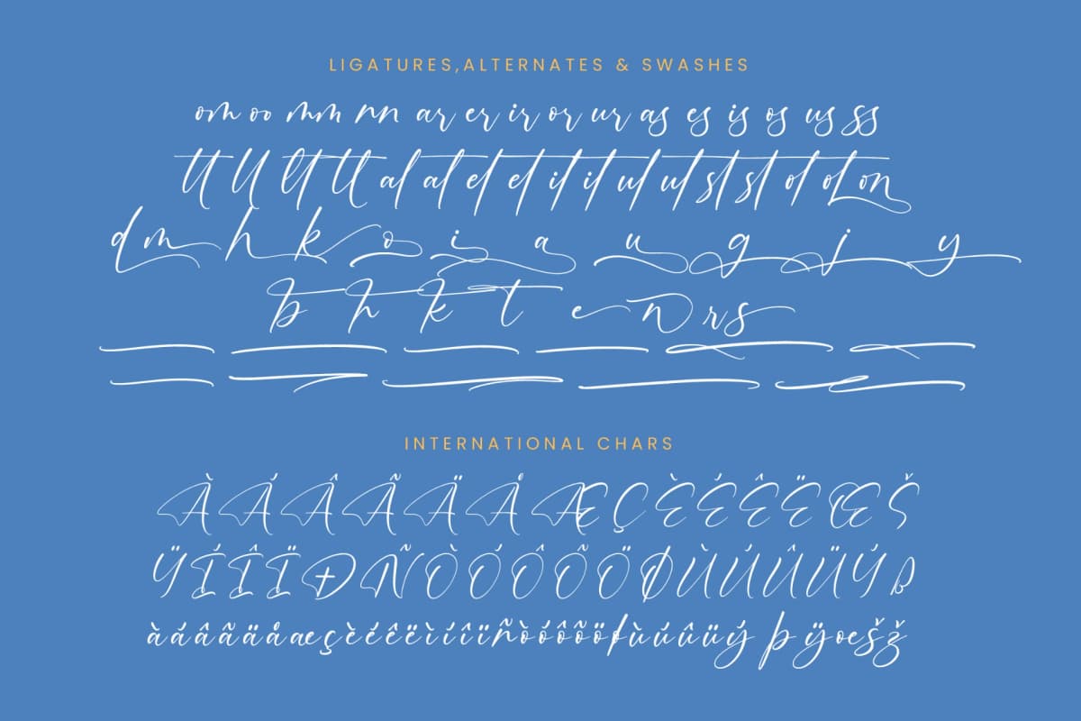 Motion Amusement – Modern Signature Font font preview 14