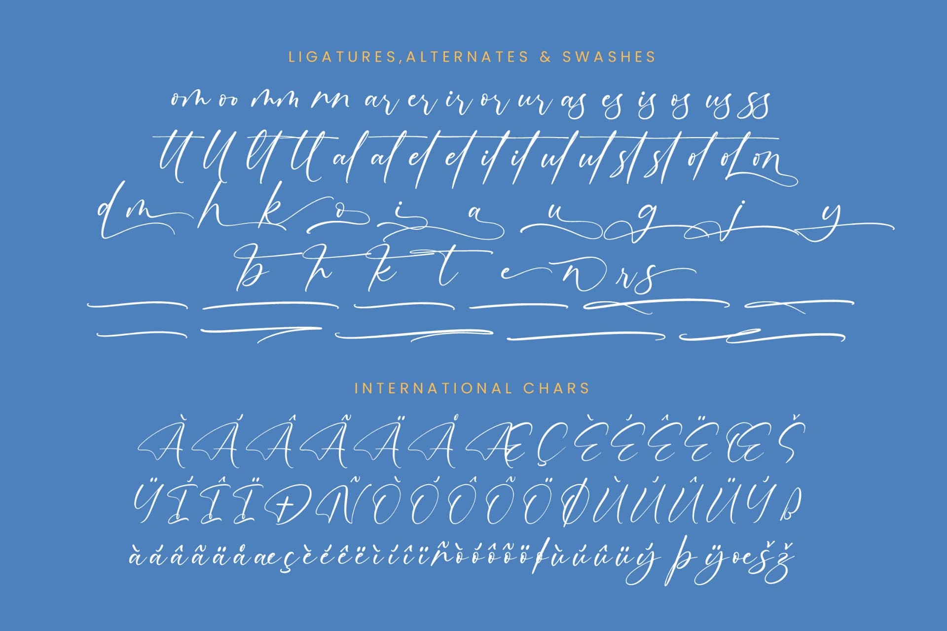 Preview 14 for Motion Amusement – Modern Signature Font