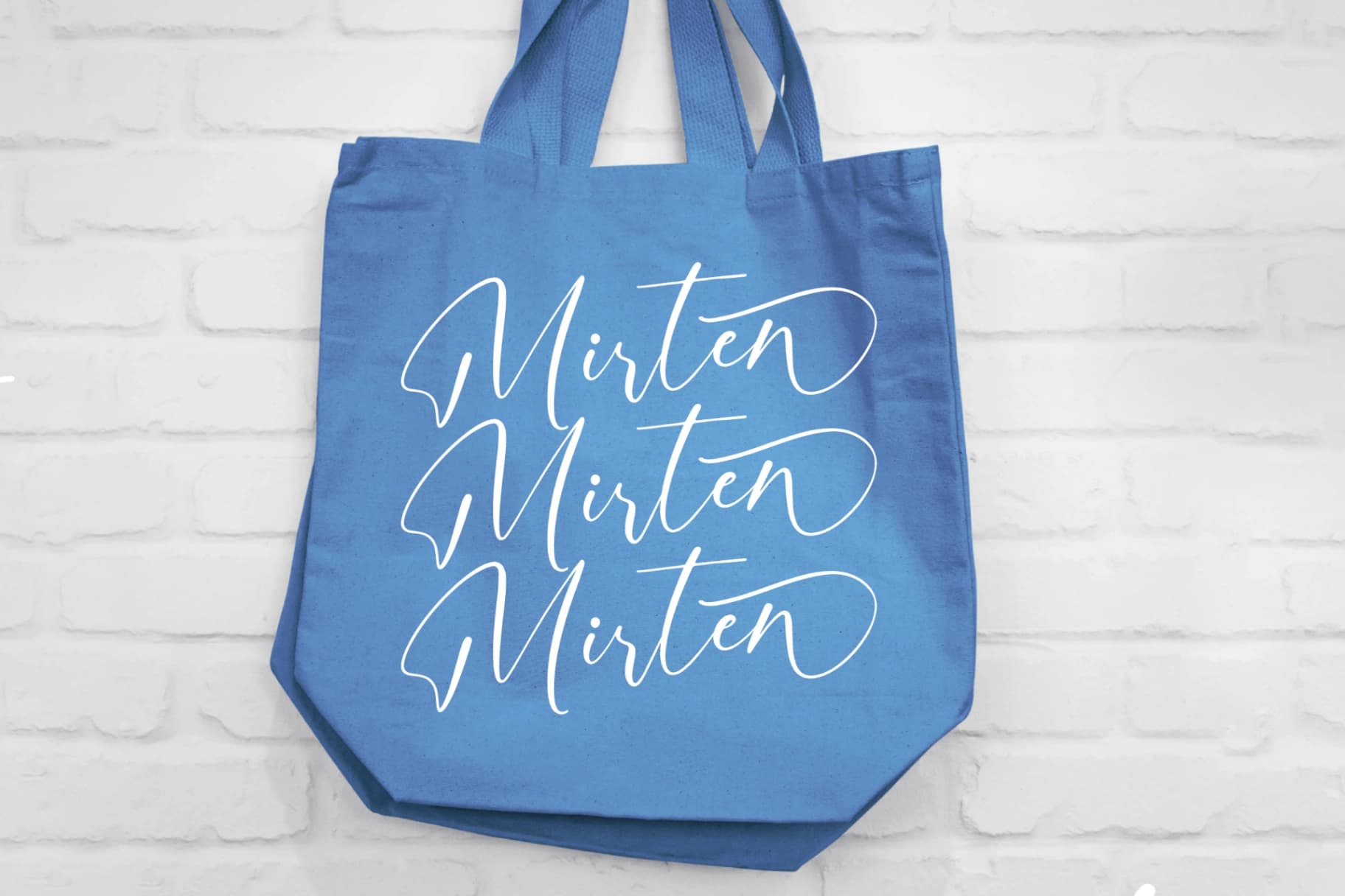 Preview 2 for Motion Amusement – Modern Signature Font