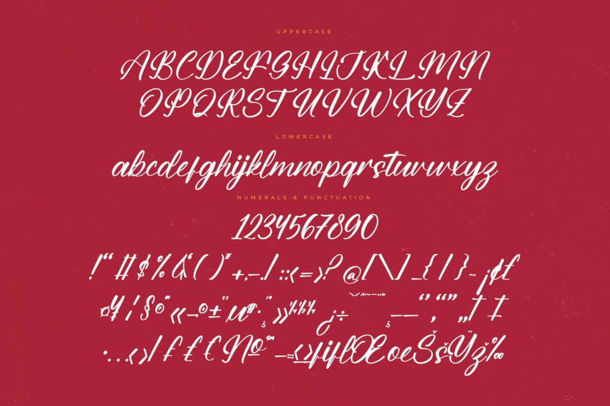 Preview 13 for Burger Champ – Modern Bold Script