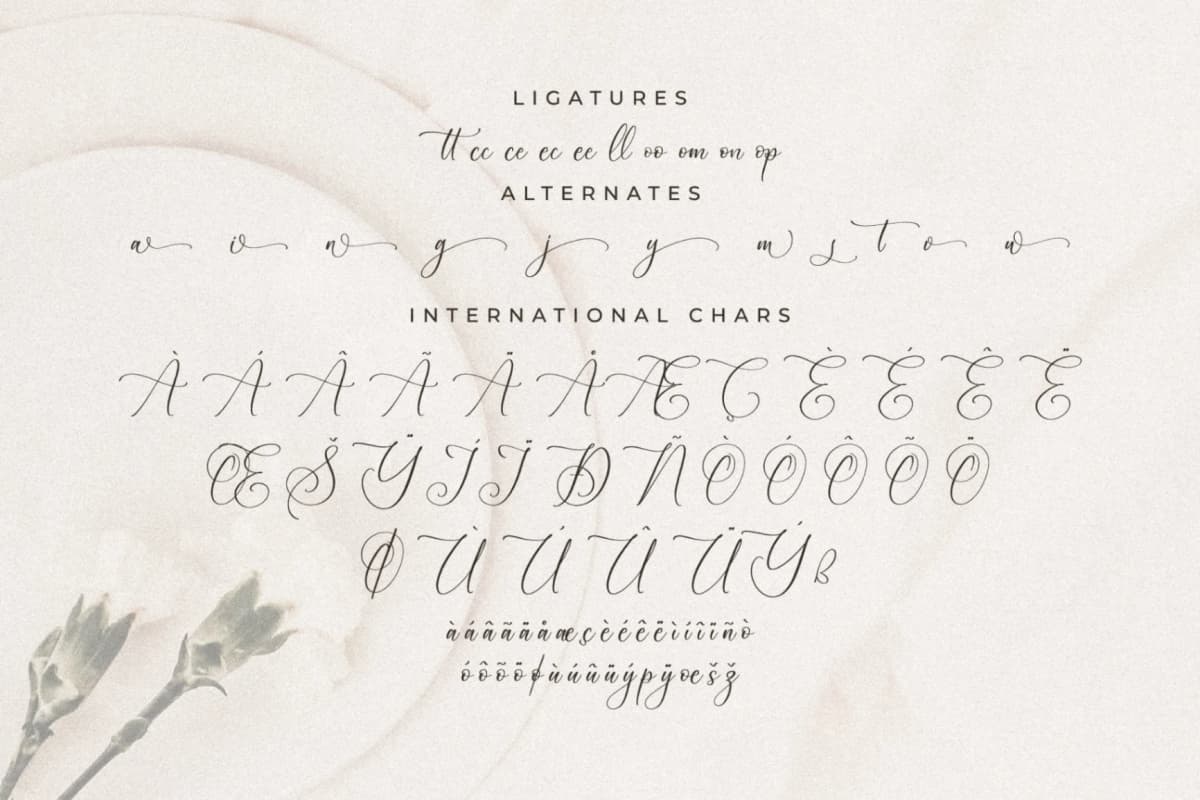 Preview 14 for Blacksttam - Luxury Script Font