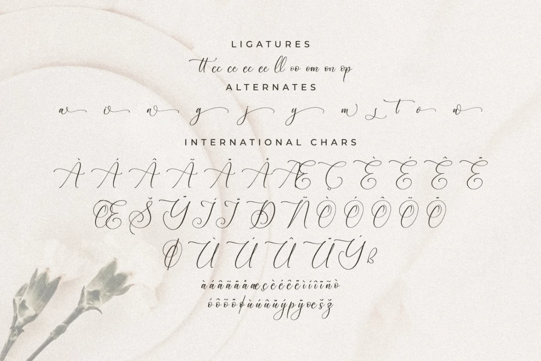 Preview 14 for Blacksttam - Luxury Script Font