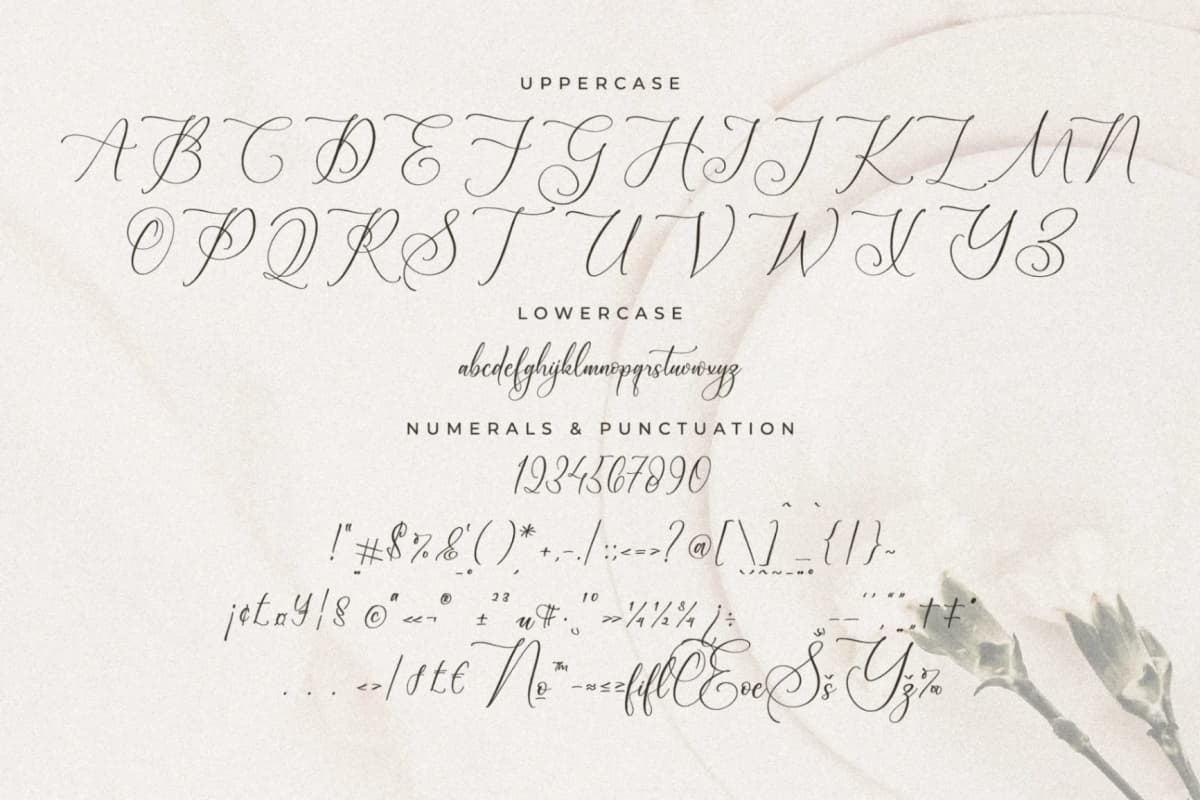 Preview 13 for Blacksttam - Luxury Script Font
