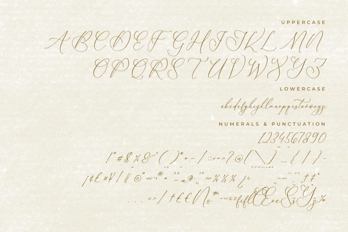 Balleryna Charlote - Chic Calligraphy Font font preview 13