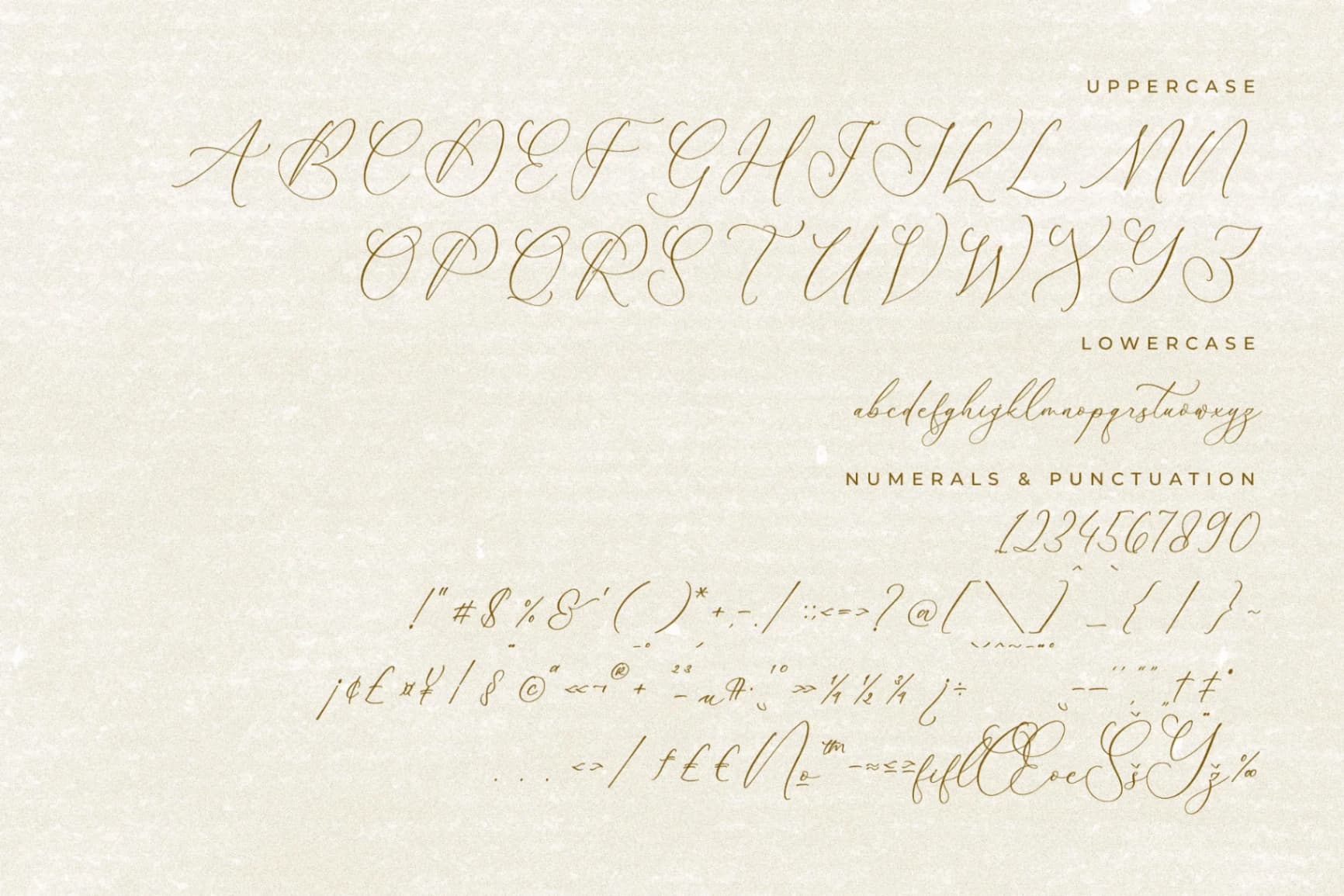Preview 13 for Balleryna Charlote - Chic Calligraphy Font