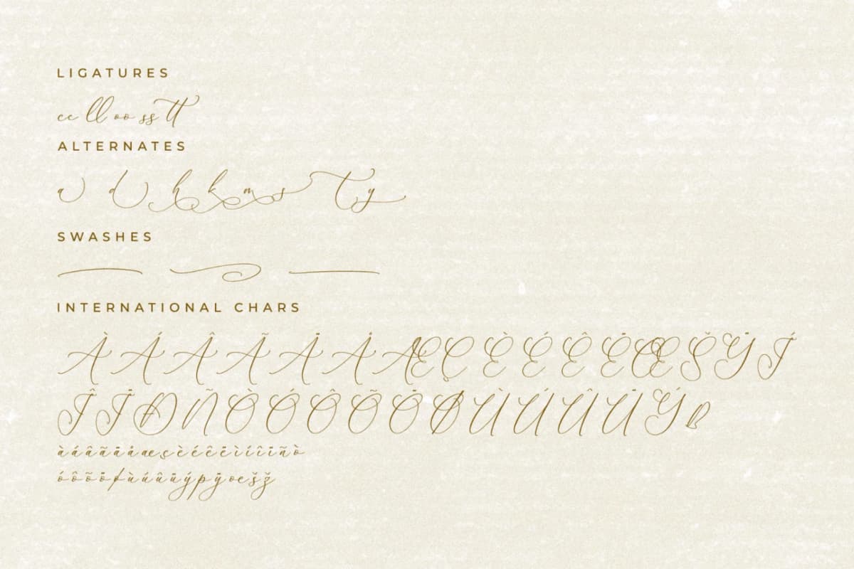 Balleryna Charlote - Chic Calligraphy Font font preview 14