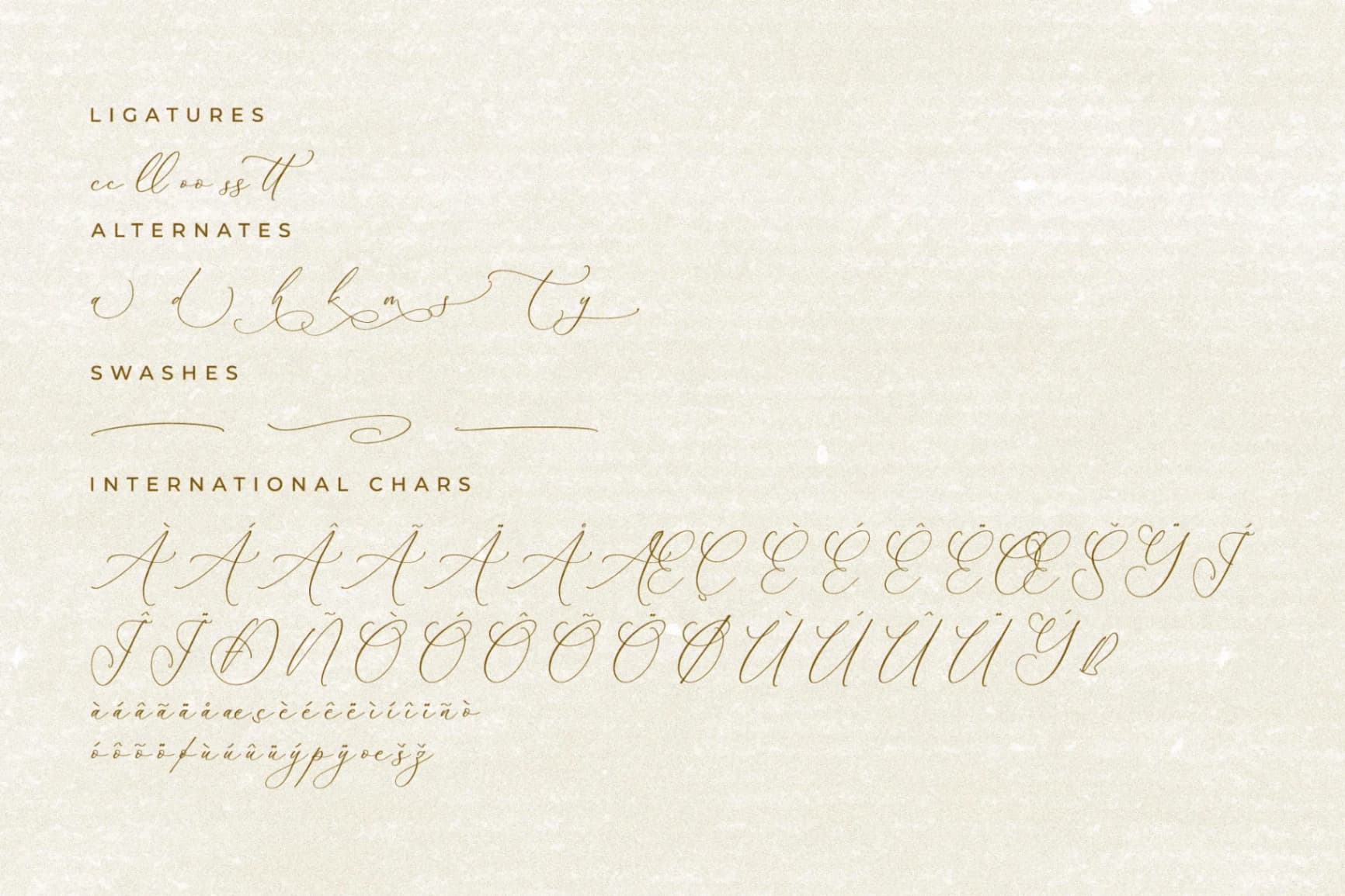 Preview 14 for Balleryna Charlote - Chic Calligraphy Font