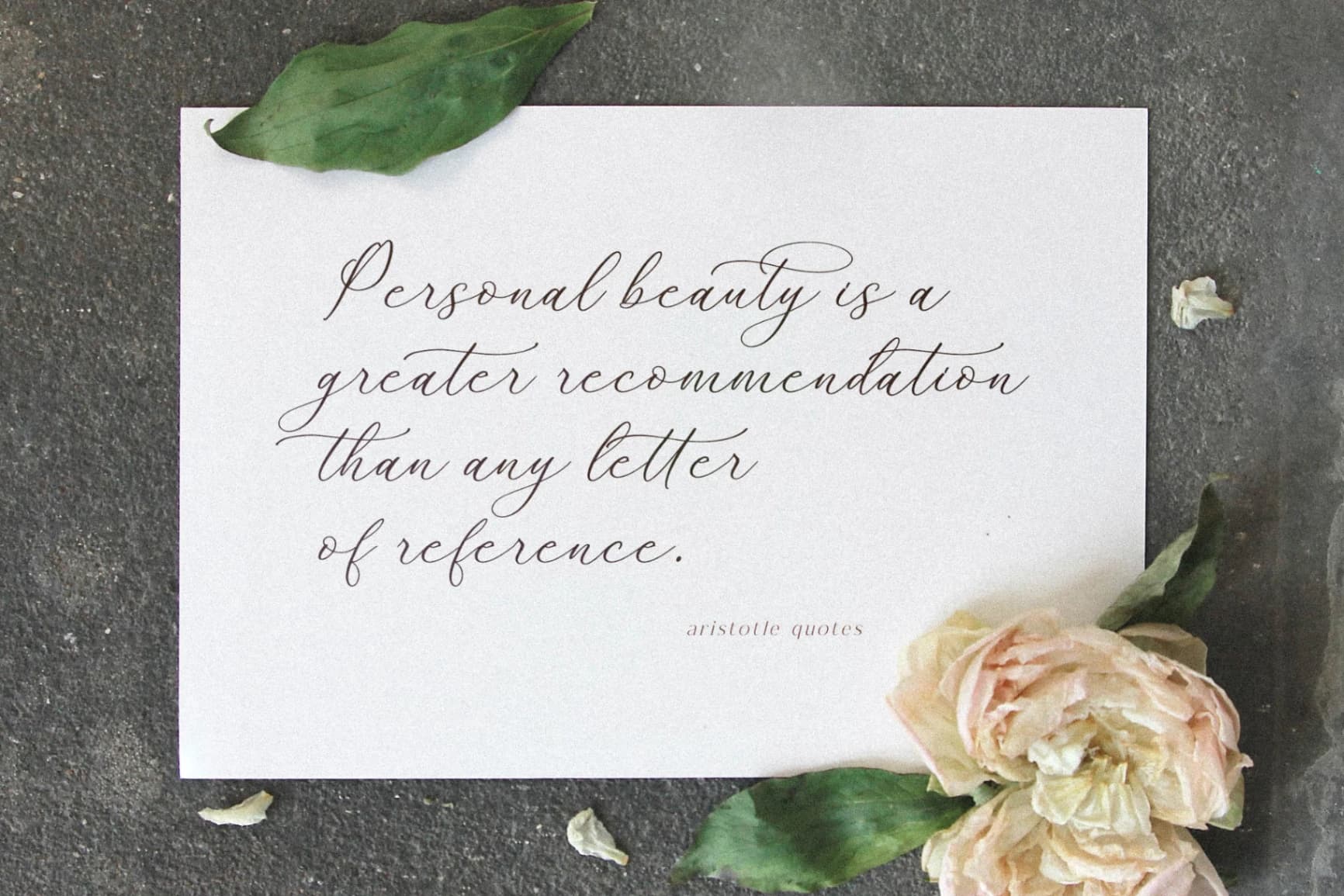 Preview 4 for Whitley Pattrycia - Luxury Calligraphy Font