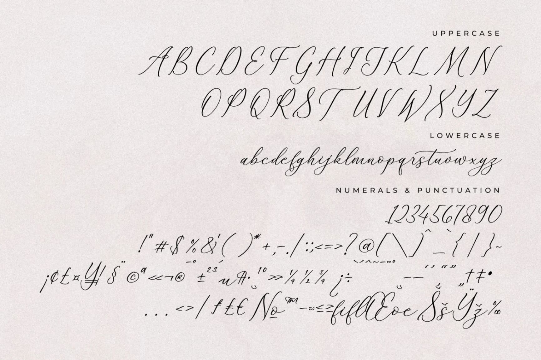 Preview 13 for Whitley Pattrycia - Luxury Calligraphy Font