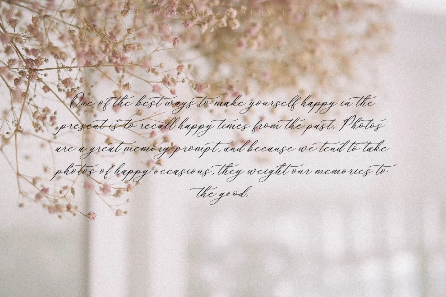 Preview 11 for Whitley Pattrycia - Luxury Calligraphy Font