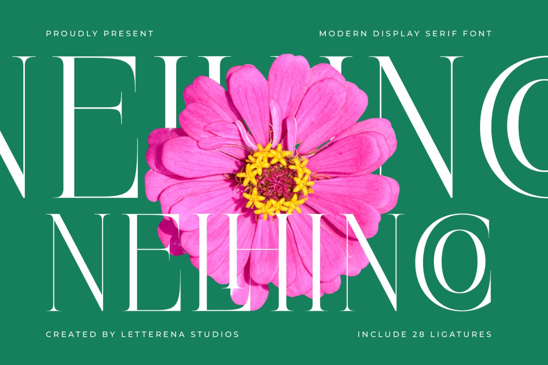 Preview of Nelhinco - Modern Display Serif font