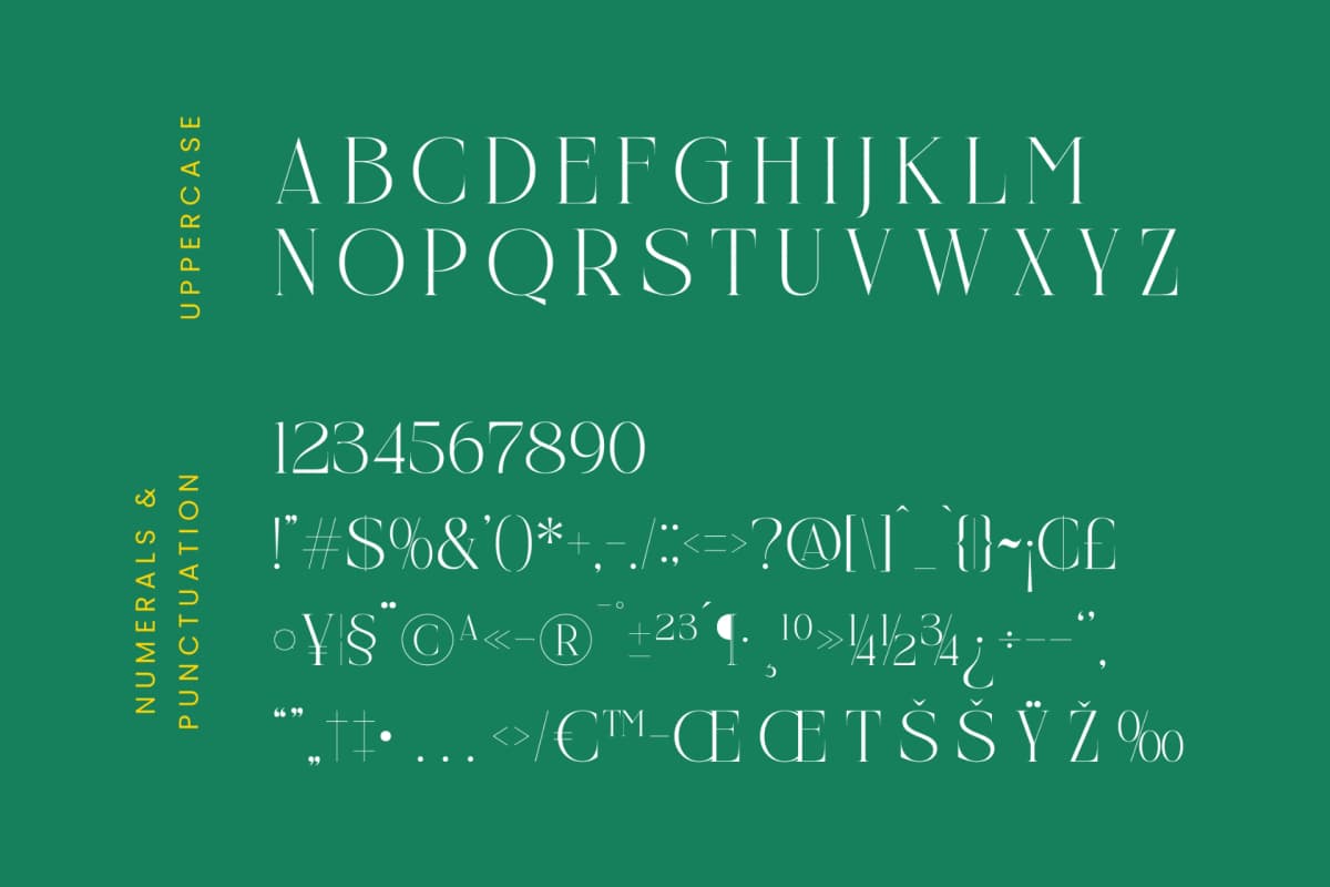 Preview 13 for Nelhinco - Modern Display Serif