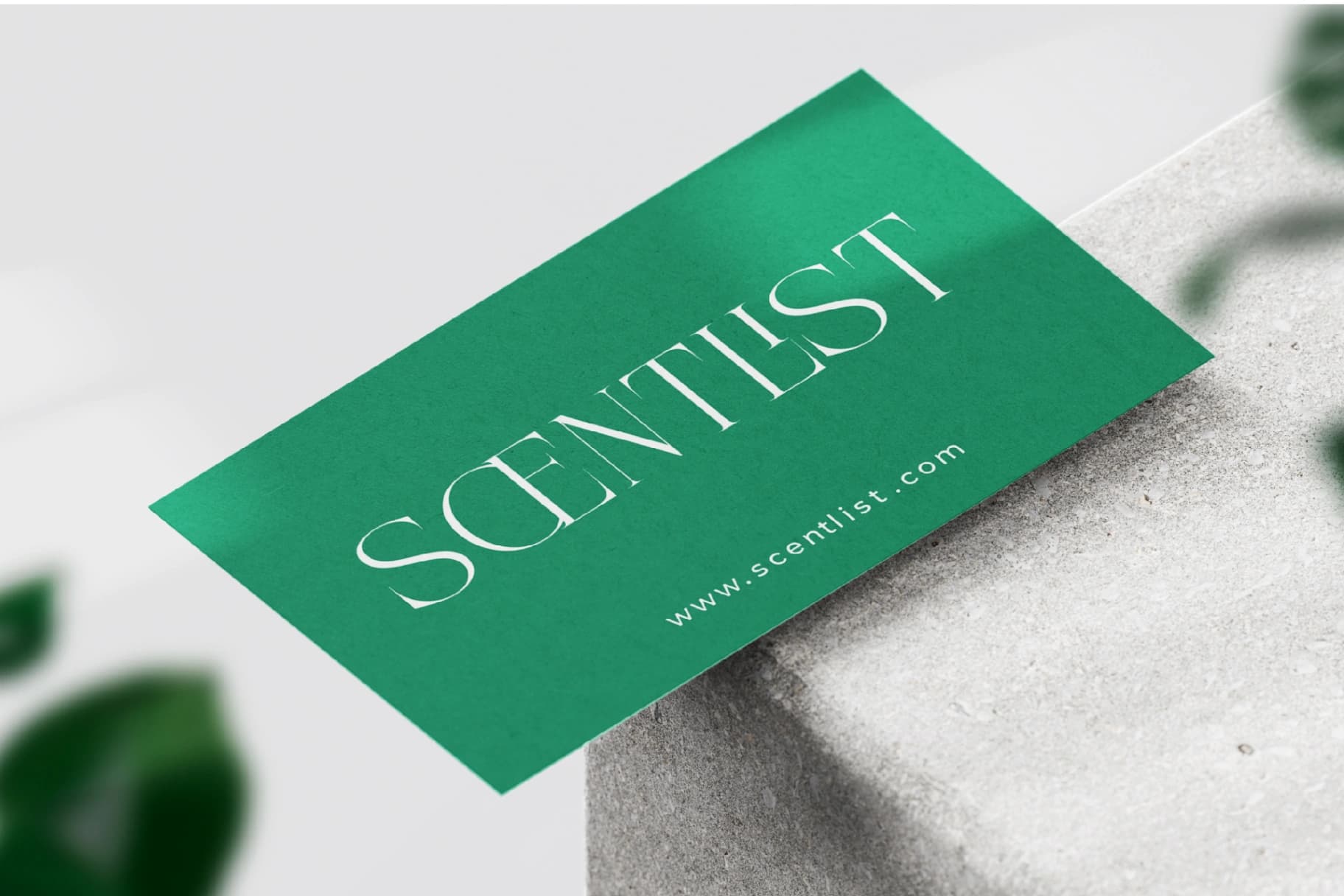 Preview 4 for Nelhinco - Modern Display Serif