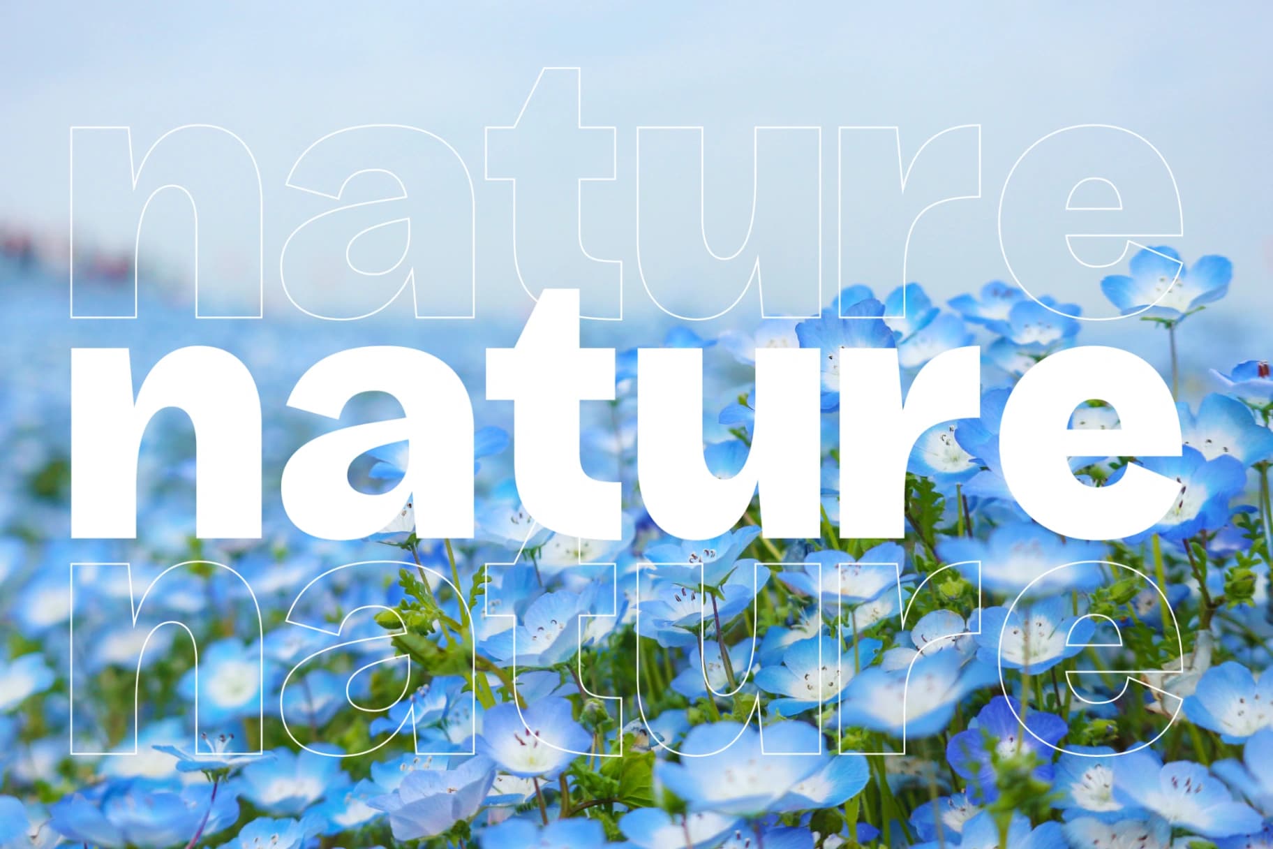 Preview 5 for Chase Dreams – Display Sans Serif Font