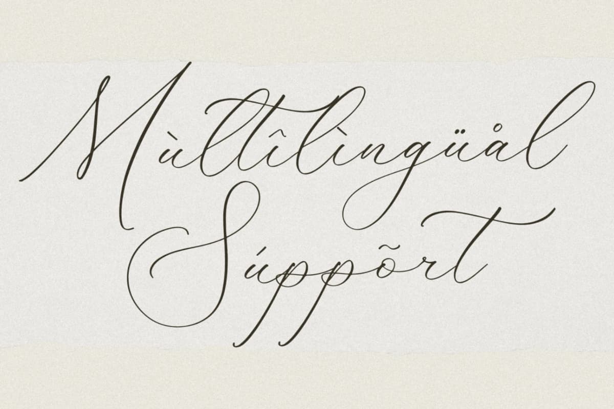 Preview 12 for Fattrios Schudnel - Chic Calligraphy Font