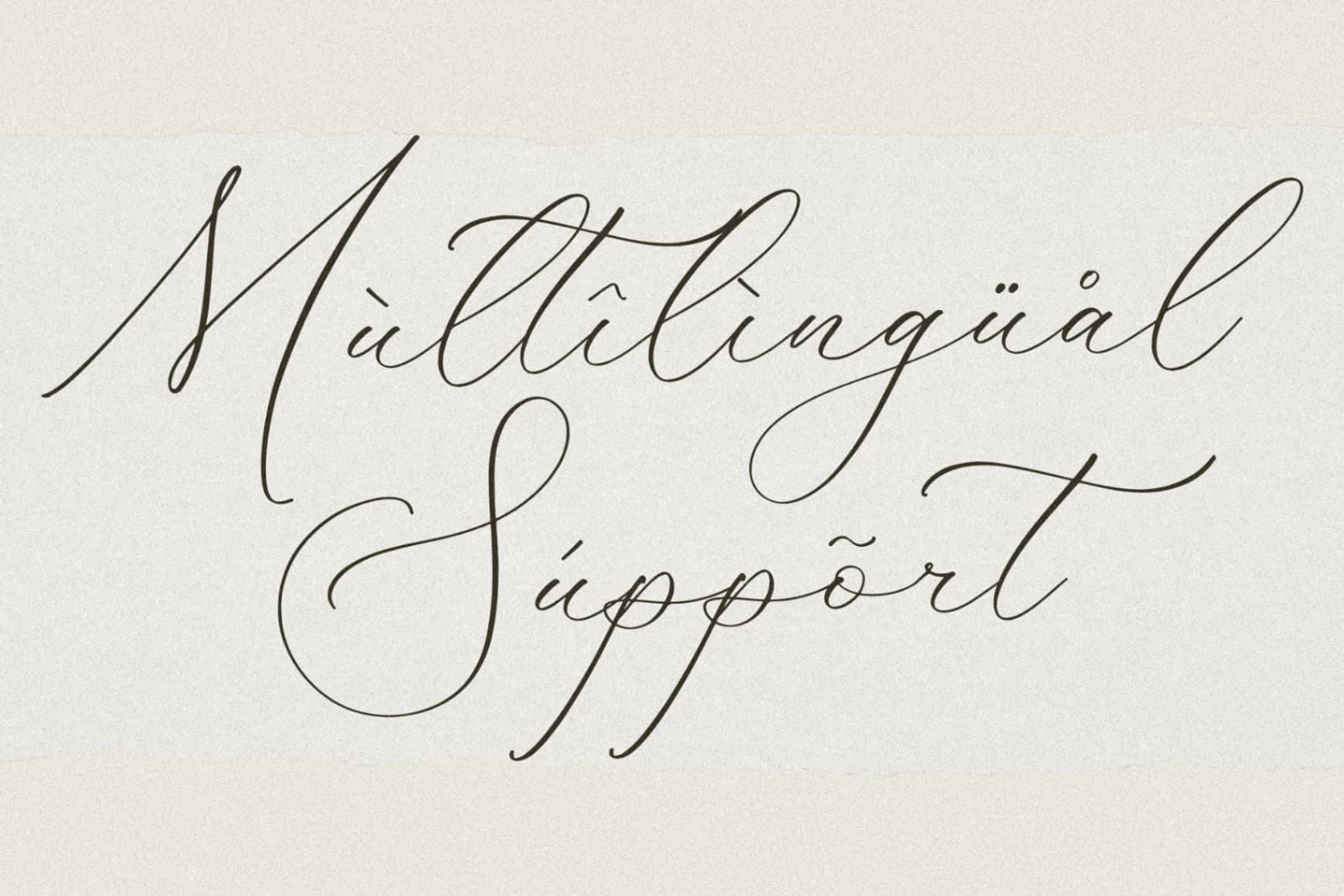 Preview 12 for Fattrios Schudnel - Chic Calligraphy Font