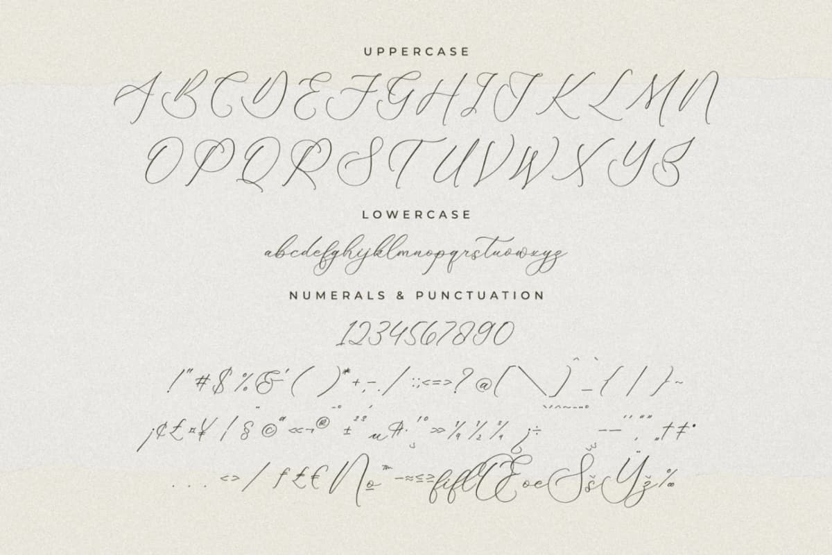 Preview 13 for Fattrios Schudnel - Chic Calligraphy Font