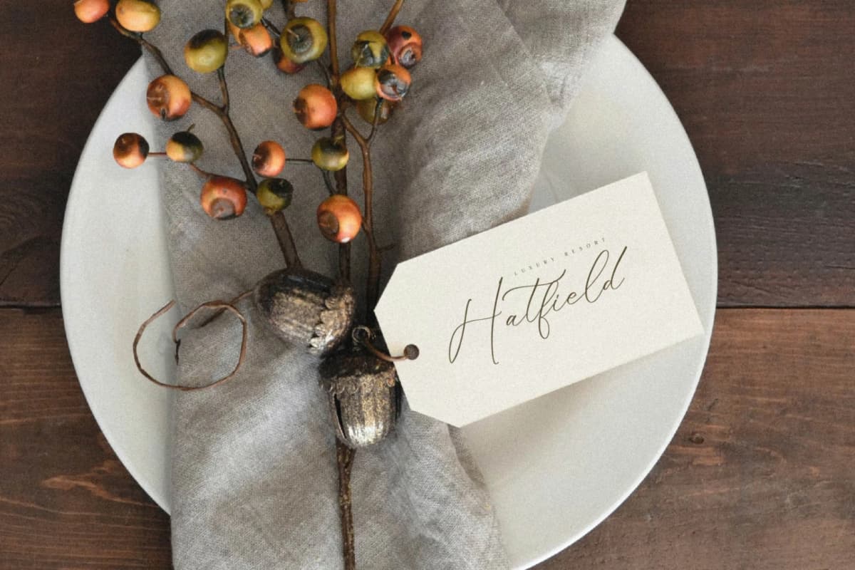 Preview 9 for Fattrios Schudnel - Chic Calligraphy Font