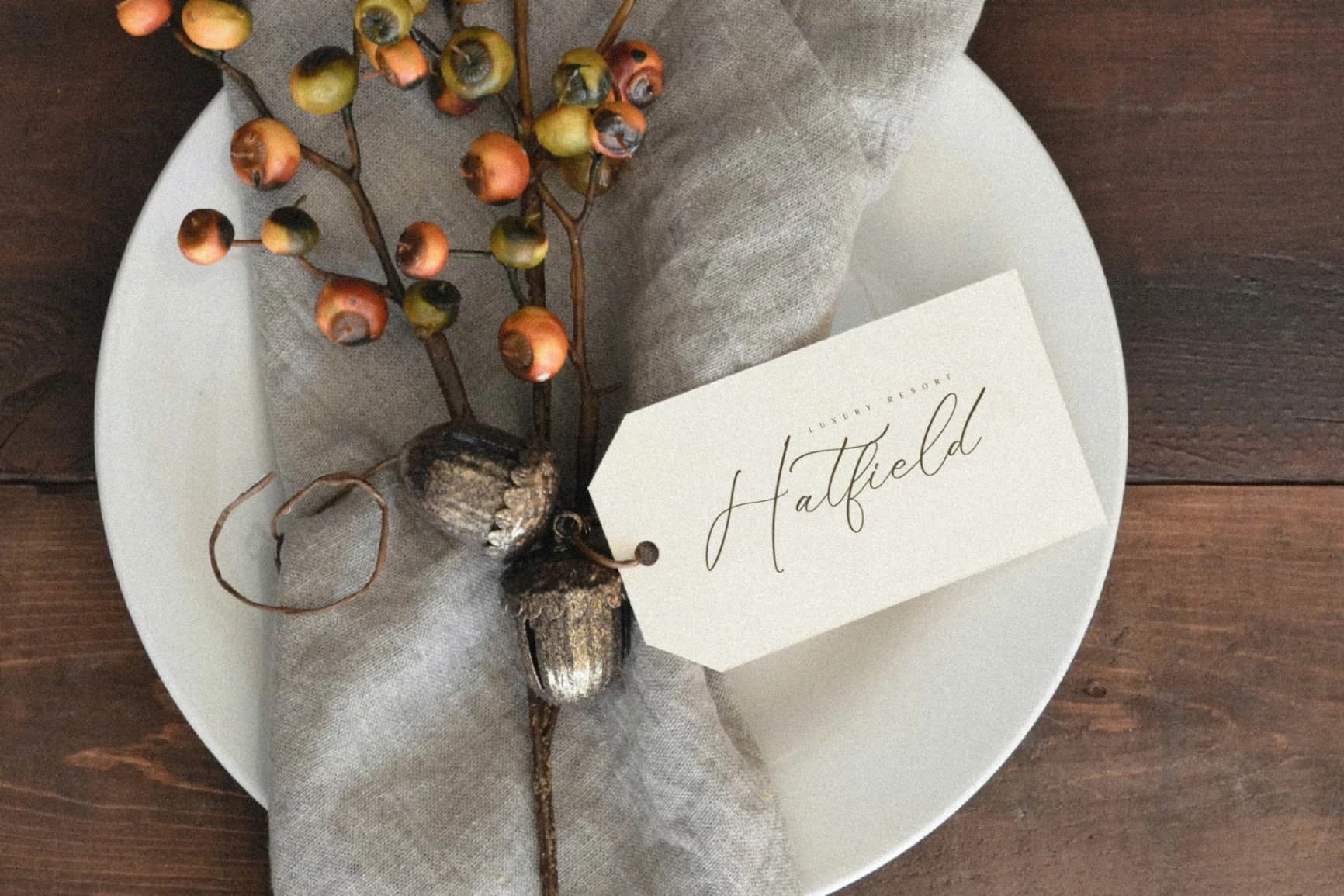 Preview 9 for Fattrios Schudnel - Chic Calligraphy Font