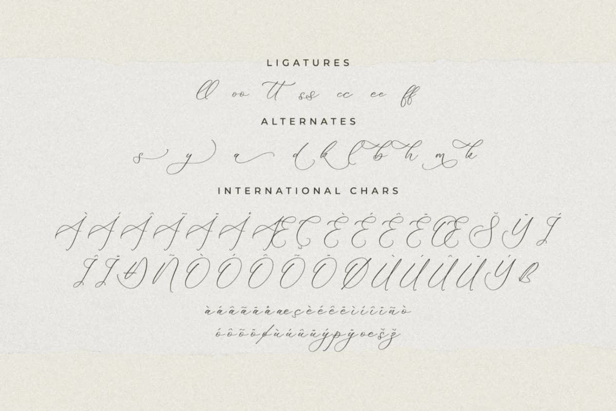 Preview 14 for Fattrios Schudnel - Chic Calligraphy Font