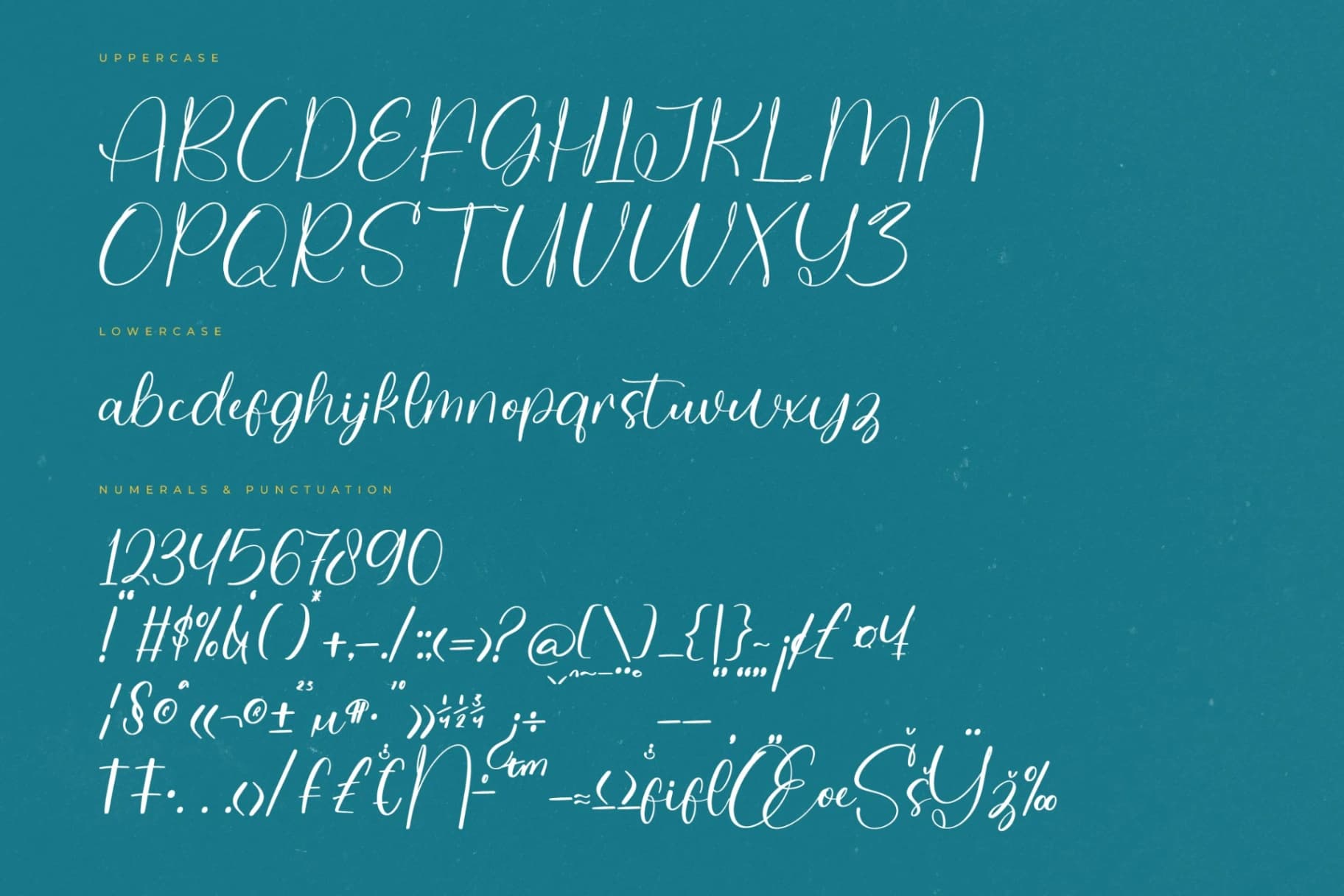 Preview 13 for Delight Splash – Modern Handwritten Font
