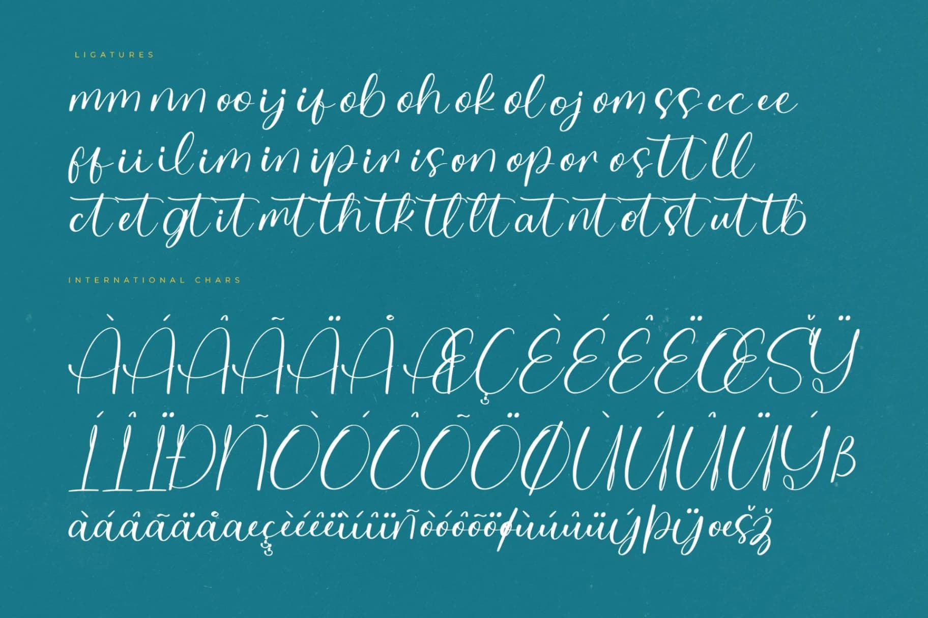 Preview 14 for Delight Splash – Modern Handwritten Font