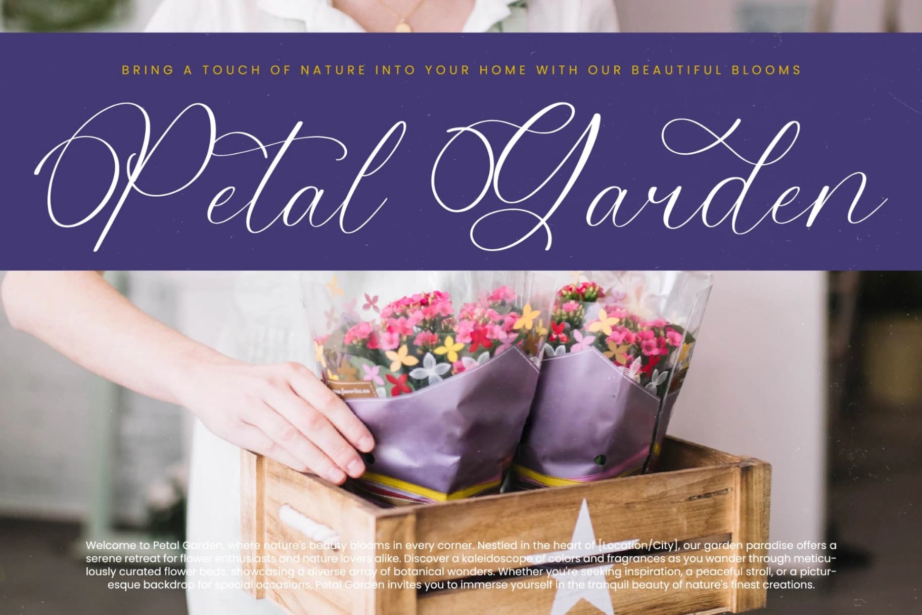 Preview 5 for Belati Sophia - Modern Beauty Script