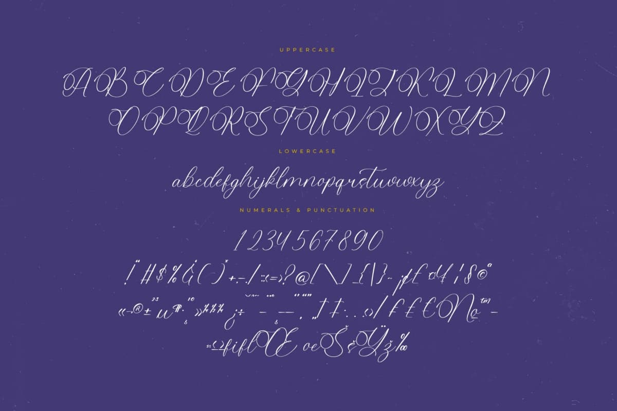 Preview 13 for Belati Sophia - Modern Beauty Script