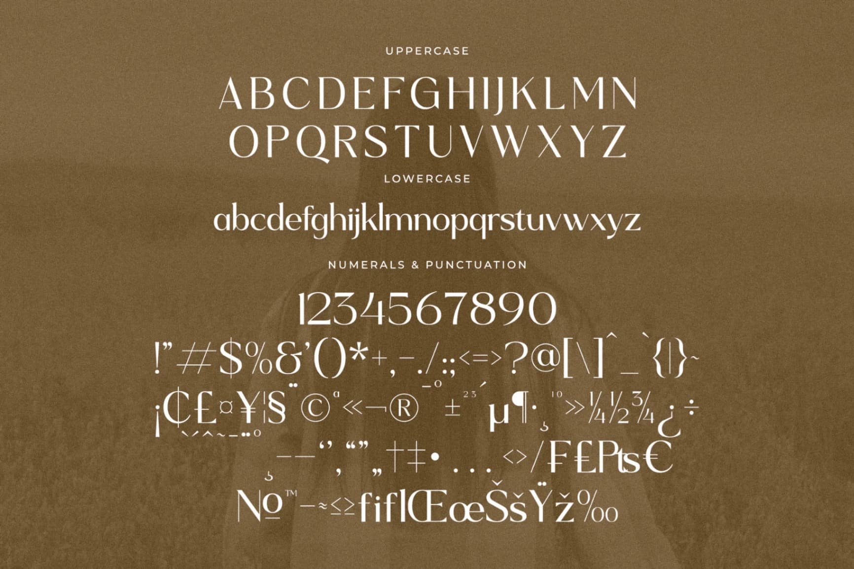 Preview 13 for Mefiyah - Modern Serif Font