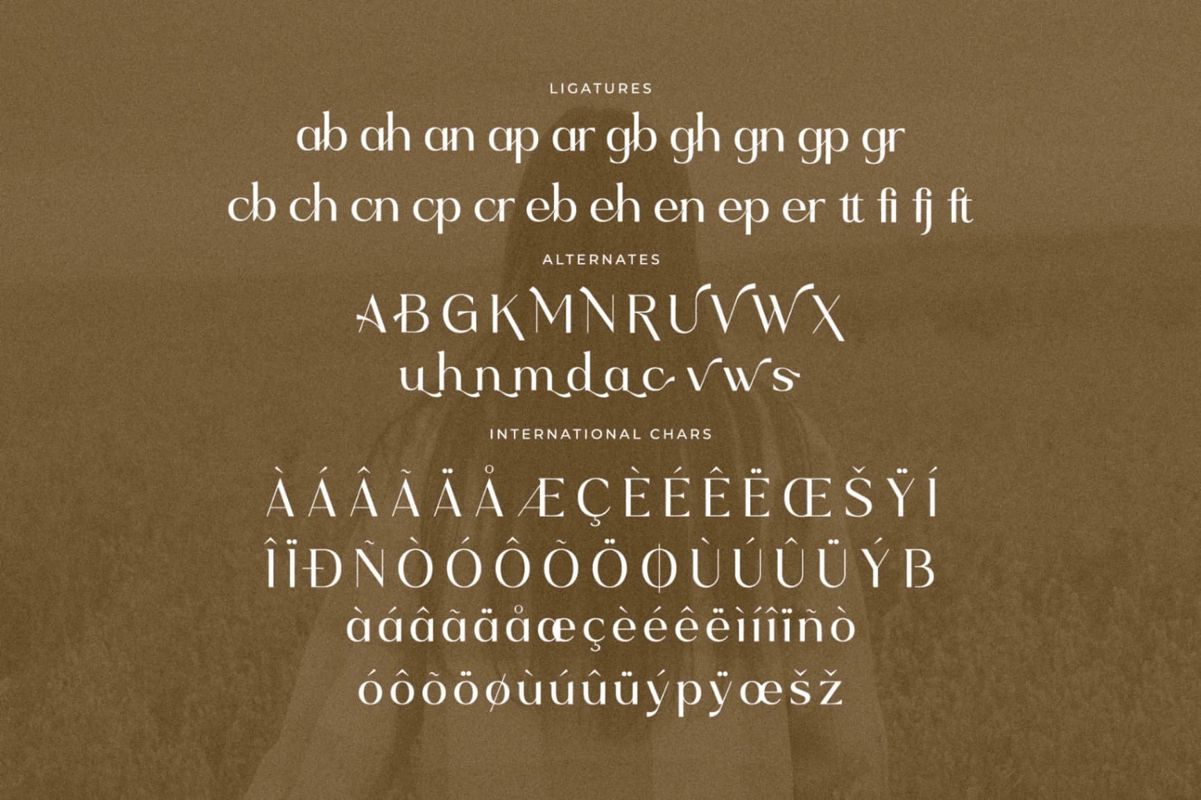 Preview 14 for Mefiyah - Modern Serif Font