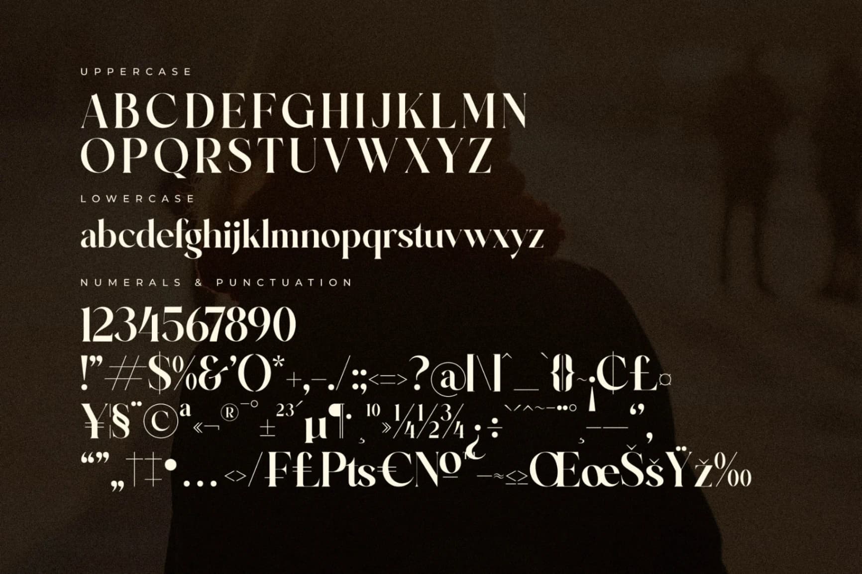 Preview 13 for Brilge Relfast - Modern Serif Font