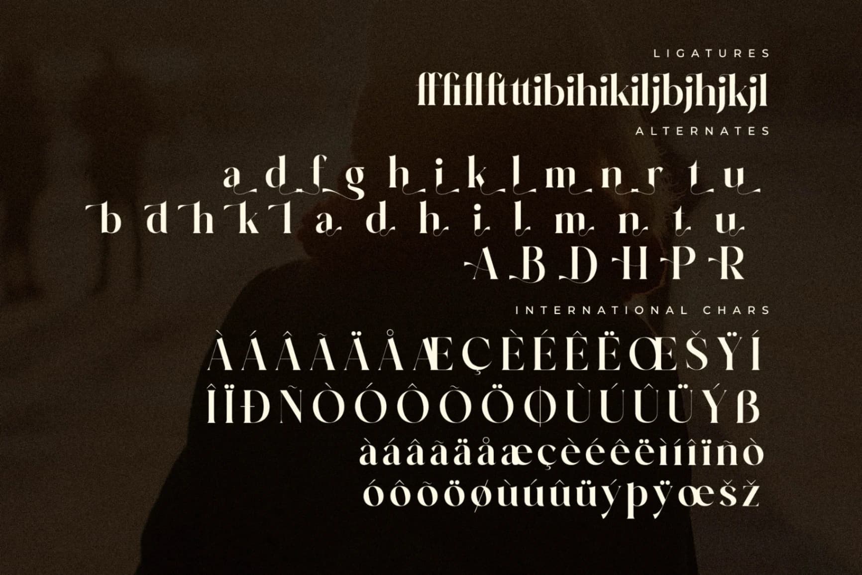 Preview 14 for Brilge Relfast - Modern Serif Font