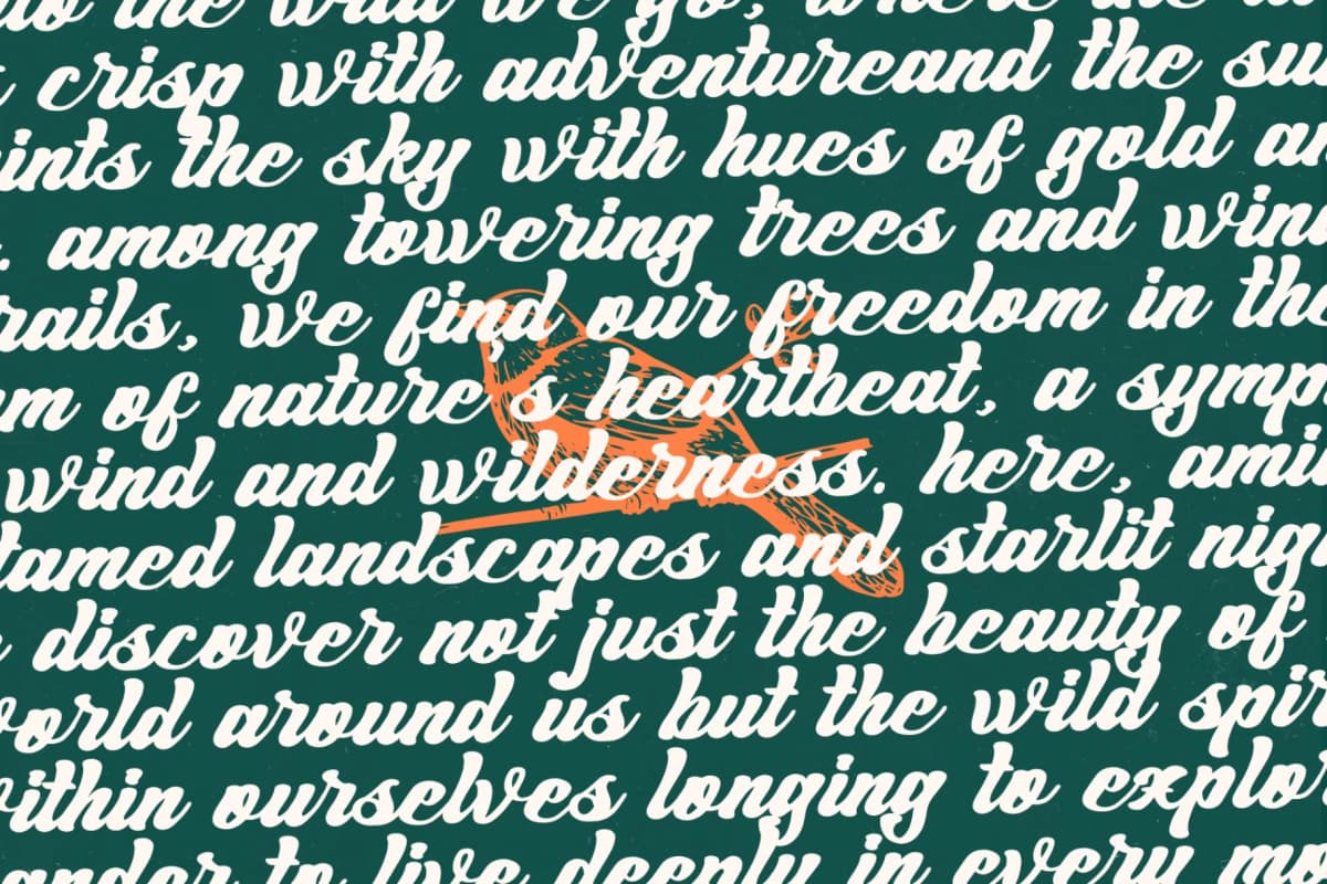 Preview 12 for Wildtrip Nature – Modern Bold Script