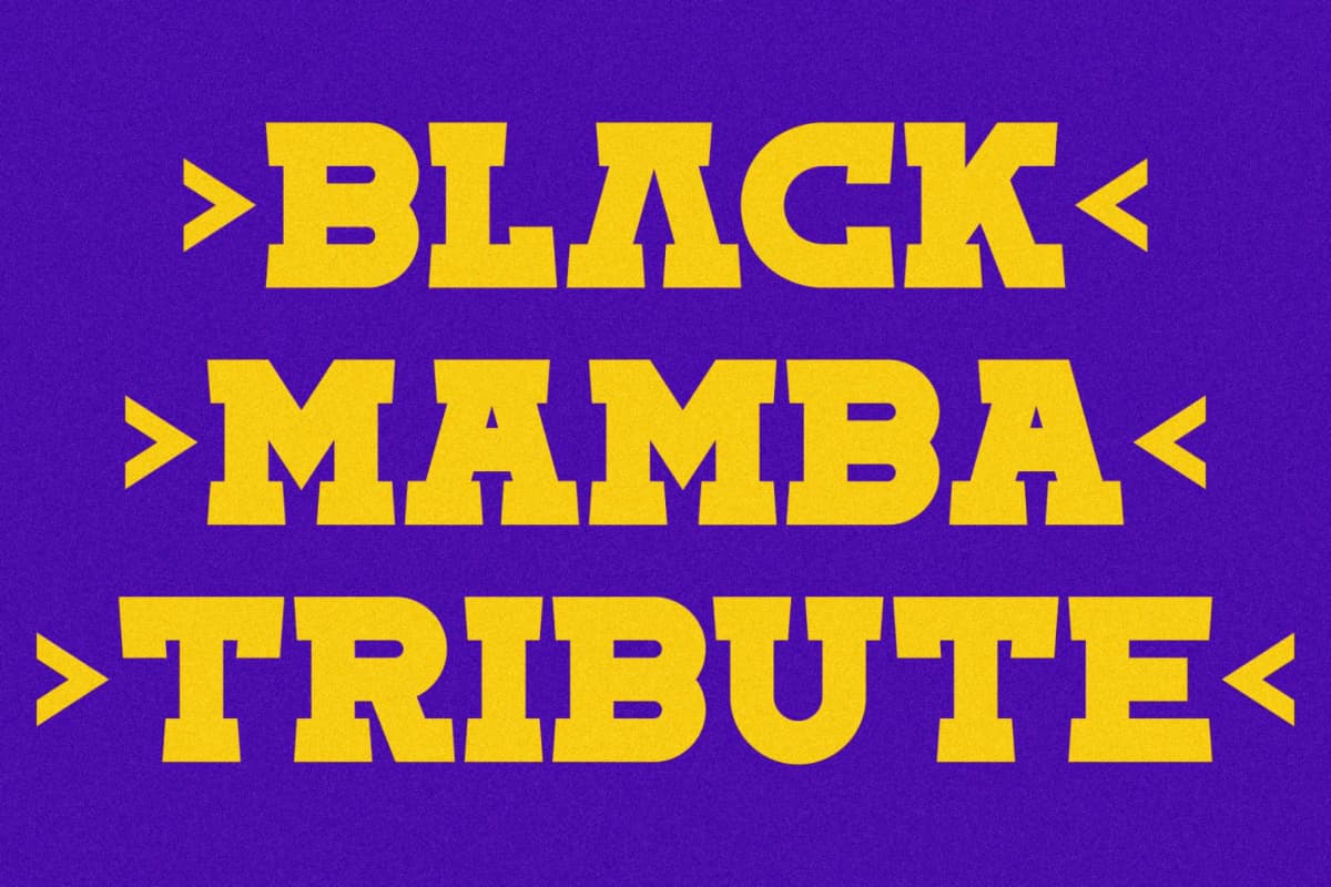 Toma Sunny - Slab Serif Font font preview 11