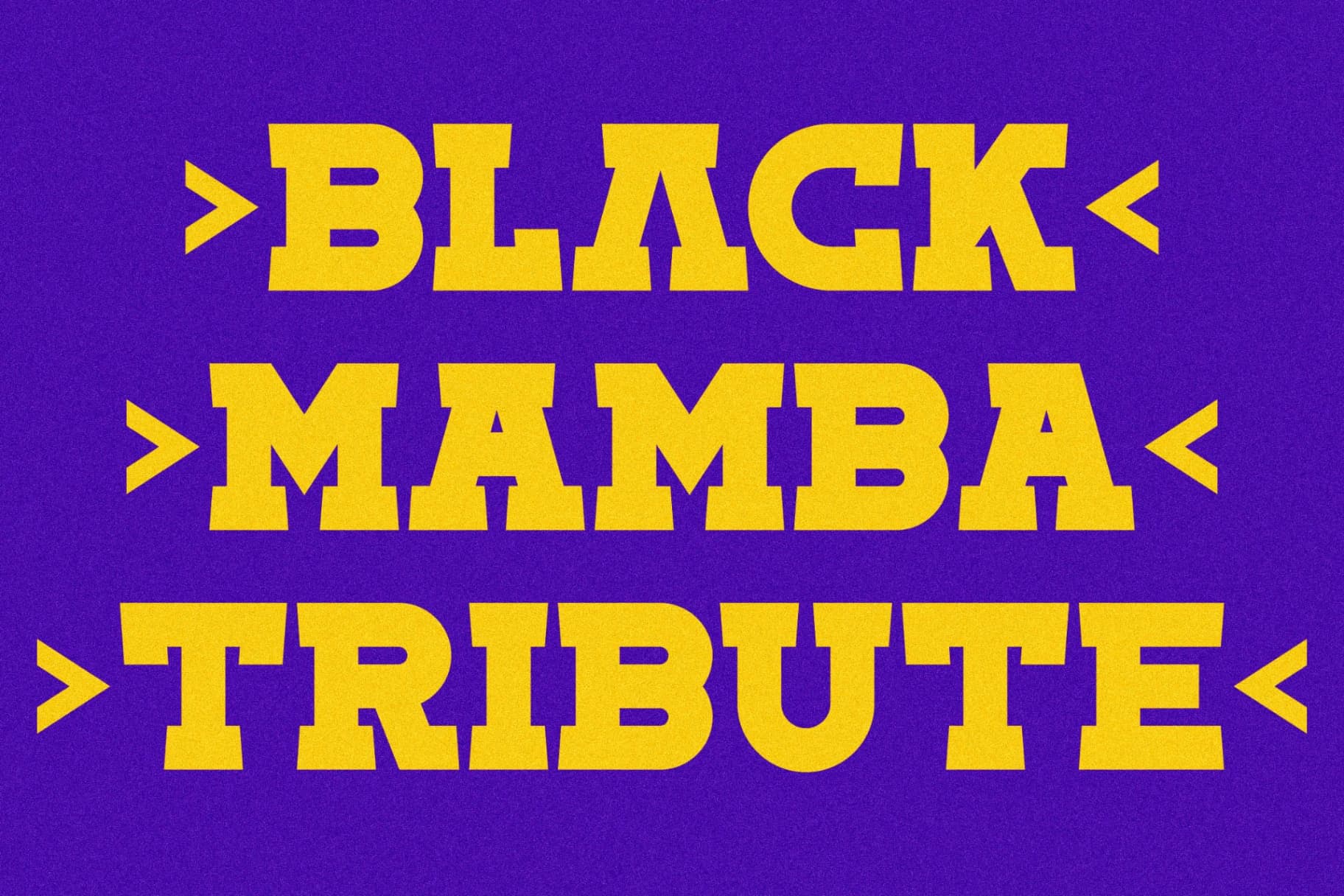 Preview 11 for Toma Sunny - Slab Serif Font