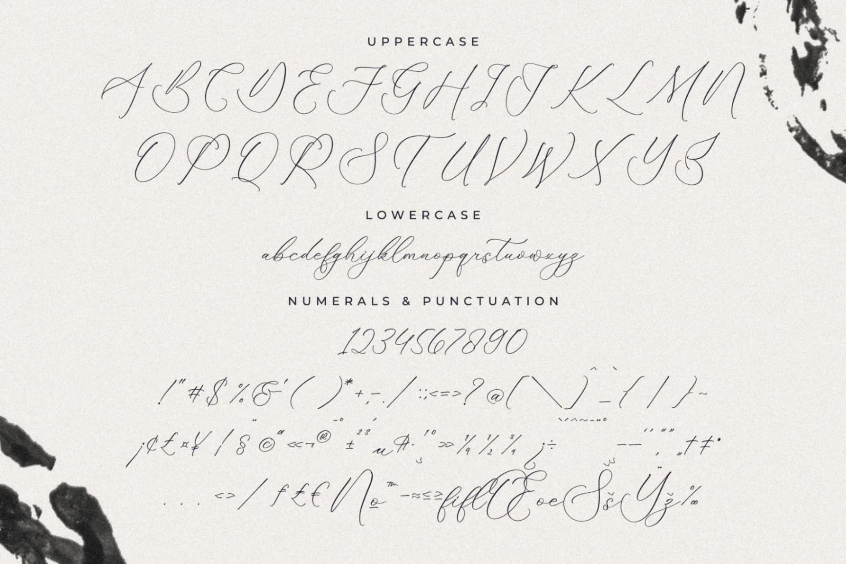 Preview 13 for Authentiue - Chic Calligraphy Font