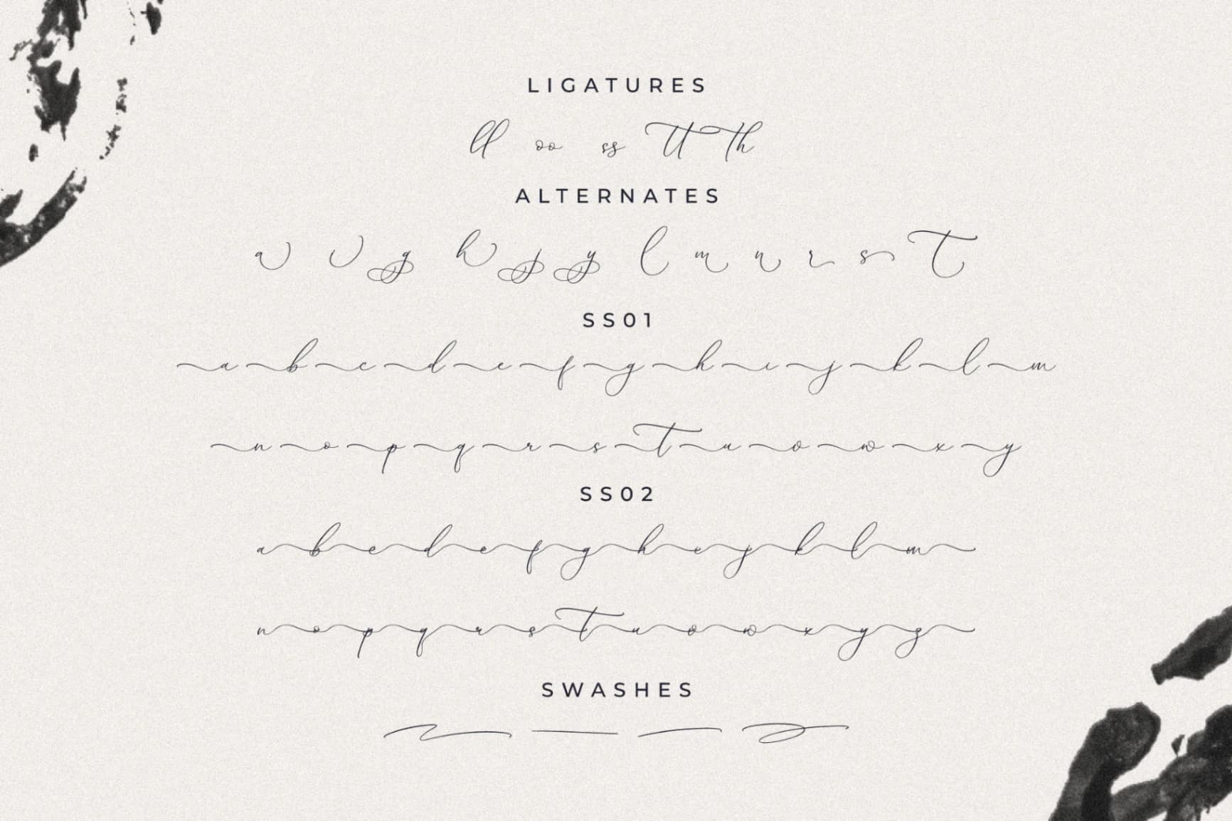 Preview 14 for Authentiue - Chic Calligraphy Font